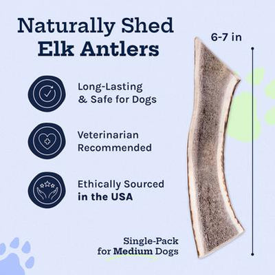 Elk Antler Split Dog Treat, Medium