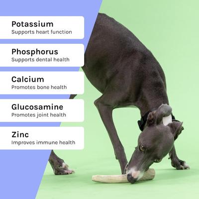 Deer Antler Whole Dog Treat, Medium