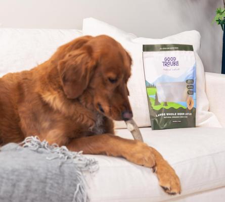 Deer Antler Whole Dog Treats, Large, 2 count