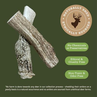 Deer Antler Whole Dog Treats, Large, 2 count
