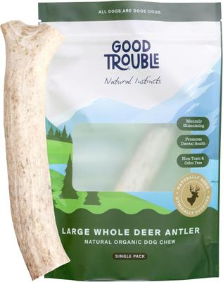 Deer Antler Whole Dog Treats, Large, 2 count
