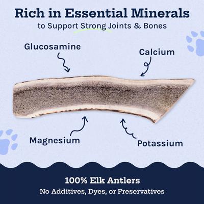 Elk Antler Whole Dog Treats, Medium, 2 count
