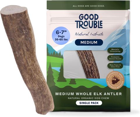 Deer Antler Whole Dog Treats, Large, 2 count
