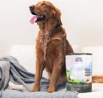 Elk Antler Split Dog Treats, Medium, 2 count