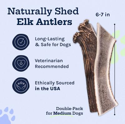 Elk Antler Split Dog Treats, Medium, 2 count