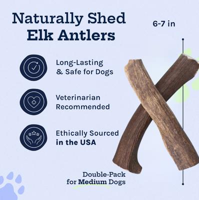 Elk Antler Whole Dog Treats, Medium, 2 count