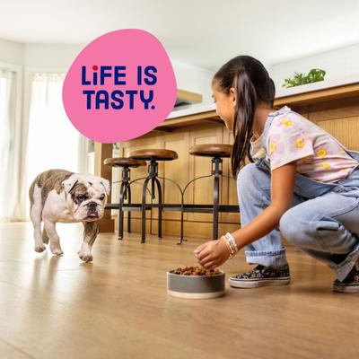 Mini Bits Savory Beef & Chicken Flavors Small Breed Dry Dog Food, 3.5-lb bag