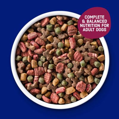 Savory Bacon & Steak Flavor Dry Dog Food, 3.5-lb bag