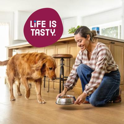 Savory Bacon & Steak Flavor Dry Dog Food, 3.5-lb bag