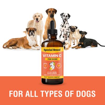 Vitamin C Bacon Flavored Liquid Immune Supplement for Dogs, 8-fl oz bottle
