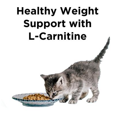 Liberty Indoor Health Chicken & Salmon Recipe Grain-Free Dry Cat Food, 3-lb bag