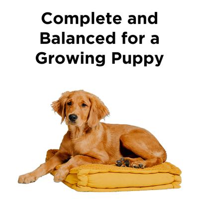 Liberty Puppy Original Recipe Fresh Turkey, Chicken & Fish Dry Dog Food, 11-lb bag