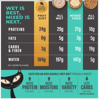 Solutions Topper Skin Coat Salmon Recipe in Broth Wet Cat Food Topper, 1.5-oz pouch, case of 12