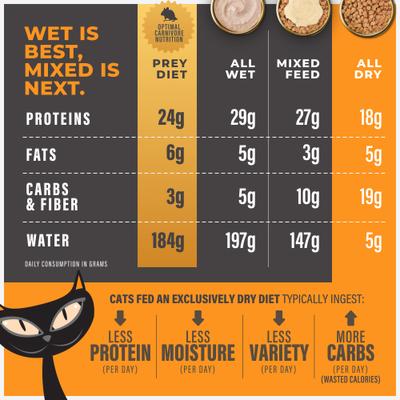 Solutions Digestion Lamb & Egg Grain-Free Dry Cat Food, 2.8-lb bag