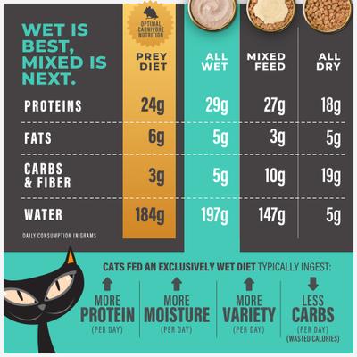 Solutions Function Formula Skin & Coat Salmon Recipe in Broth Wet Cat Food, 2.4-oz, case of 12