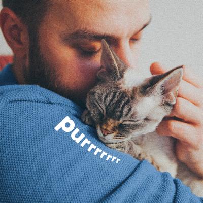 Collar antipulgas y garrapatas Plus para gatos, 2 unidades