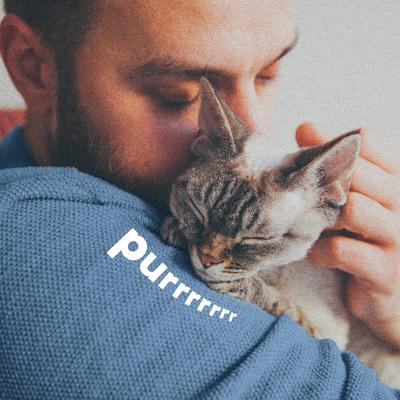 Champú espumoso para gatos con fórmula para piel sensible Plus, antipulgas y garrapatas, botella de 283 ml