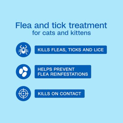 Plus Sensitive Skin Formula Flea & Tick Foaming Cat Shampoo, 10-fl oz bottle