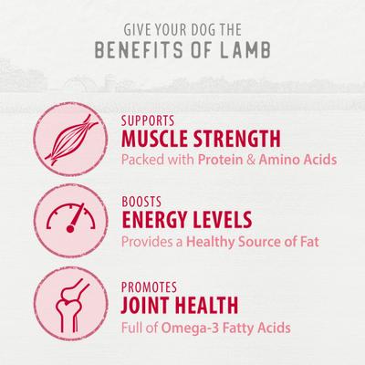 Lamb Bites Freeze-Dried Dog Treats, 4.1-oz bag