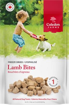 Lamb Bites Freeze-Dried Dog Treats, 4.1-oz bag