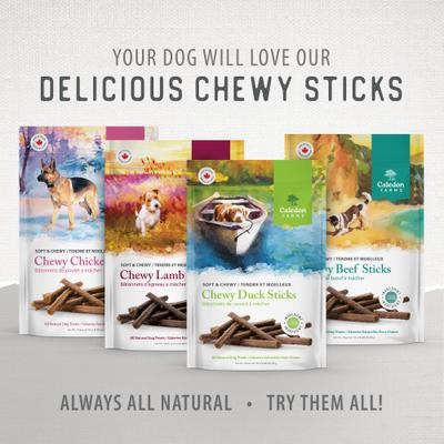 Value Pack Chewy Beef Sticks Dog Treats, 7.6-oz bag