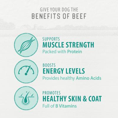 Value Pack Chewy Beef Sticks Dog Treats, 7.6-oz bag