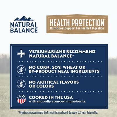Health Protection Salmon Broth, Salmon, Pumpkin & Brown Rice Stew Wet Dog Food, 12.5-oz can, case of 6