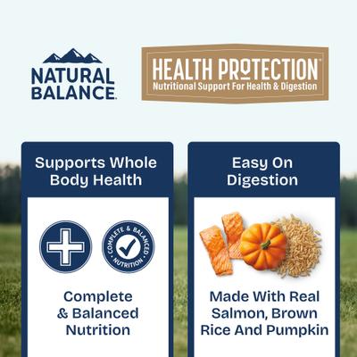 Health Protection Salmon Broth, Salmon, Pumpkin & Brown Rice Stew Wet Dog Food, 12.5-oz can, case of 6