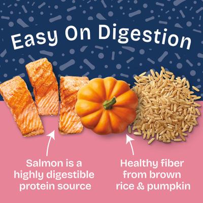 Health Protection Salmon Broth, Salmon, Pumpkin & Brown Rice Stew Wet Dog Food, 12.5-oz can, case of 6