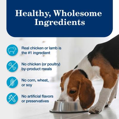 Homestyle Recipe Chicken & Turkey Variety Pack Wet Dog Food, 12.5-oz can, 6 count