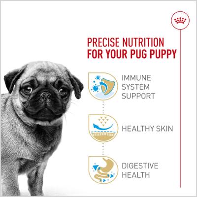 Breed Health Nutrition Pug Puppy Dry Dog Food, 2.5-lb bag