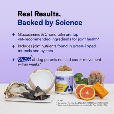 Advanced Hip & Joint Chicken Flavored Soft Chews Vitamins for Dogs, 90 count