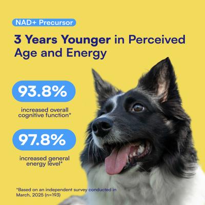 Boops Pets, Longevity and Healthy Aging para Perros, sabor Crema de Cacahuate y Pollo.. 90 chews