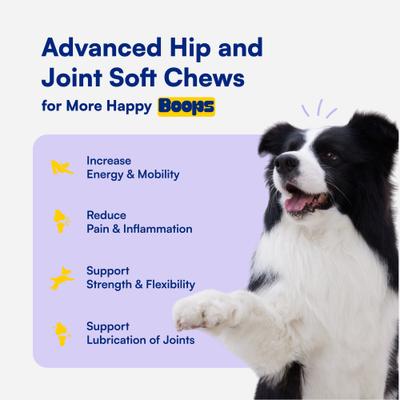 Advanced Hip & Joint Chicken Flavored Soft Chews Vitamins for Dogs, 90 count