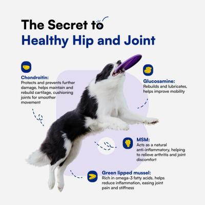 Advanced Hip & Joint Chicken Flavored Soft Chews Vitamins for Dogs, 90 count
