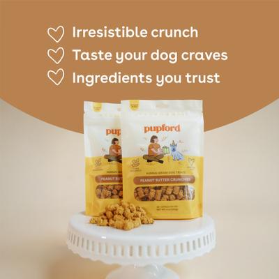 Human-Grade Peanut Butter Adult Crunchies Dog Treats, 8-oz bag