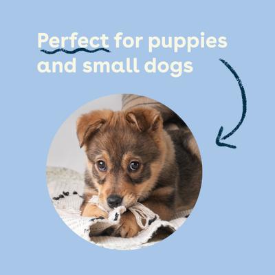 Mini Beef Dog Bully Sticks, 8-oz bag