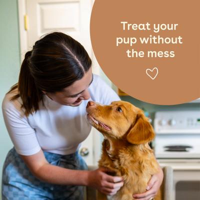 Human-Grade Peanut Butter Adult Crunchies Dog Treats, 8-oz bag