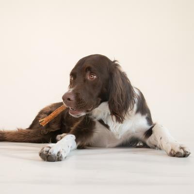 Mini Beef Dog Bully Sticks, 8-oz bag