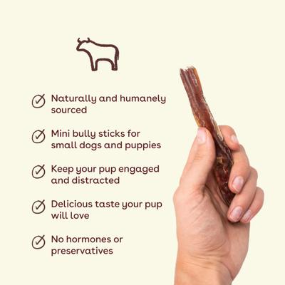 Mini Beef Dog Bully Sticks, 8-oz bag