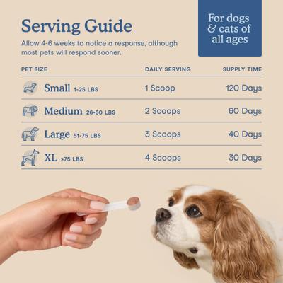 Fera Pets, Postbiotics Plus for Dogs and Cats. 120 scoops