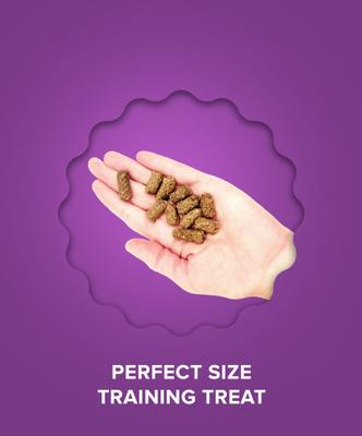 Small Bites Lamb Dog Soft & Chew Treat, 6-oz bag