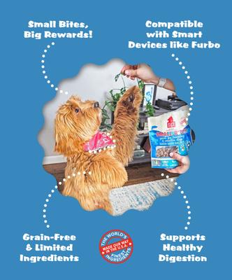 Small Bites Salmon Grain-Free Dog Treats, 6-oz bag