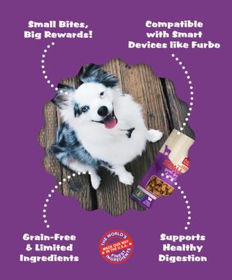 Small Bites Lamb Dog Soft & Chew Treat, 6-oz bag