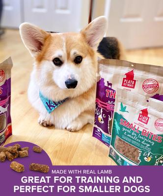 Small Bites Lamb Dog Soft & Chew Treat, 6-oz bag