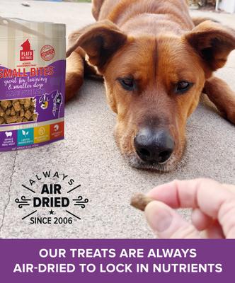 Small Bites Lamb Dog Soft & Chew Treat, 6-oz bag