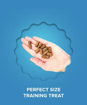 Small Bites Salmon Grain-Free Dog Treats, 6-oz bag