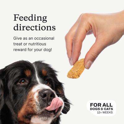 Salmon Bites Dog Treats, 3-oz bag