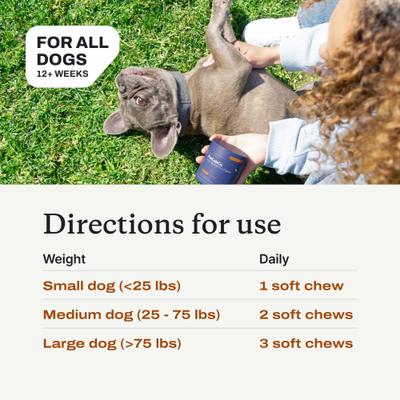 Itch Relief Pro Pork Flavor Dog Supplement, 30 Count, 30 count, bundle of 2