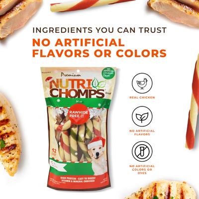 4.5-inch Real Mint Flavored Candy Cane Shaped Hard Chew Dog Treats, 12 count